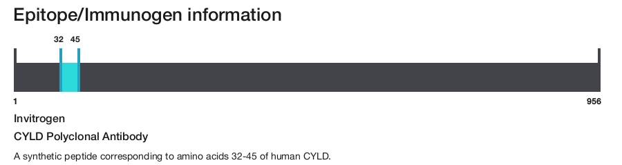 CYLD Polyclonal Antibody