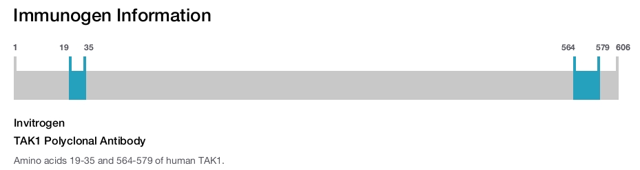 TAK1 Polyclonal Antibody