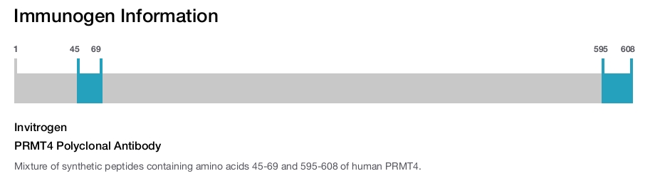 PRMT4 Polyclonal Antibody
