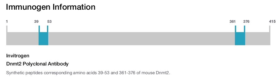 Dnmt2 Polyclonal Antibody