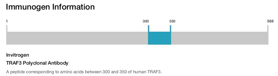 TRAF3 Polyclonal Antibody