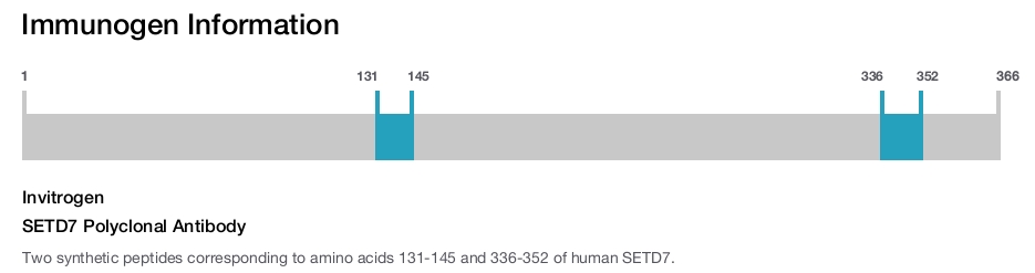 SETD7 Polyclonal Antibody