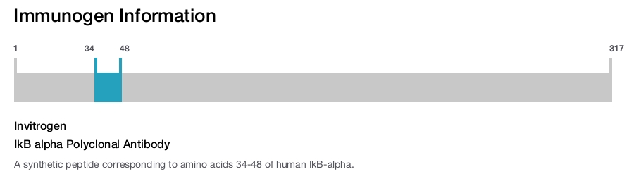IkB alpha Polyclonal Antibody