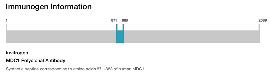 MDC1 Polyclonal Antibody