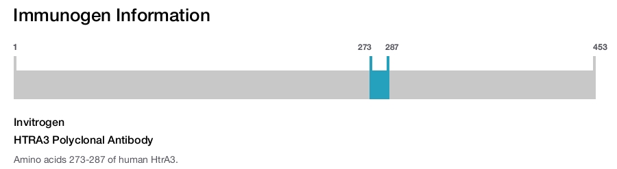 HTRA3 Polyclonal Antibody
