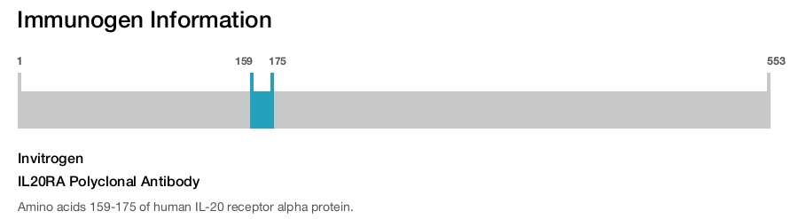 IL20RA Polyclonal Antibody