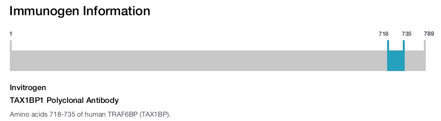 TAX1BP1 Polyclonal Antibody