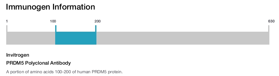 PRDM5 Polyclonal Antibody