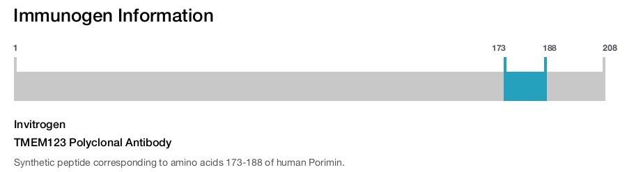 TMEM123 Polyclonal Antibody