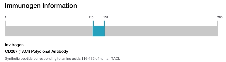 CD267 (TACI) Polyclonal Antibody