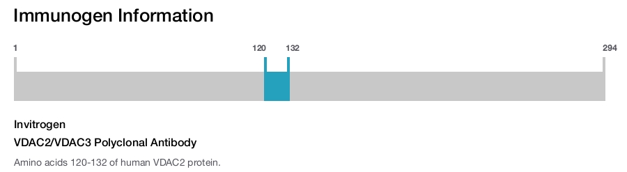 VDAC2/VDAC3 Polyclonal Antibody