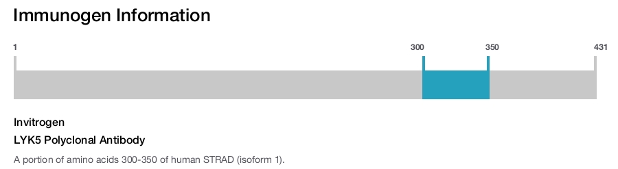LYK5 Polyclonal Antibody