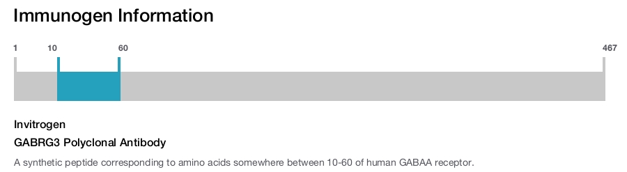 GABRG3 Polyclonal Antibody