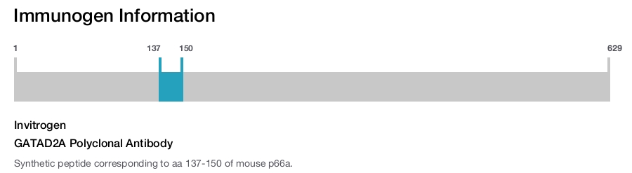 GATAD2A Polyclonal Antibody