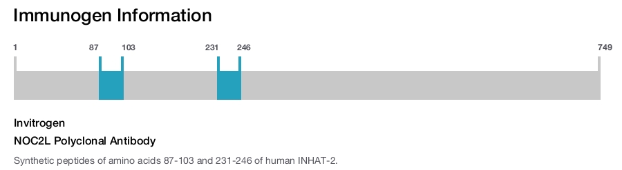 NOC2L Polyclonal Antibody