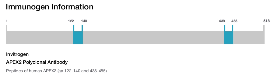 APEX2 Polyclonal Antibody