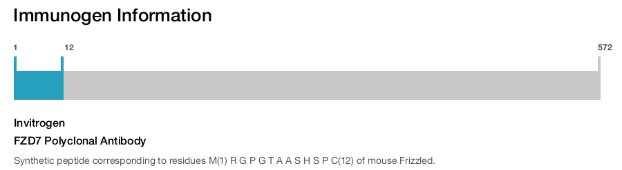 FZD7 Polyclonal Antibody