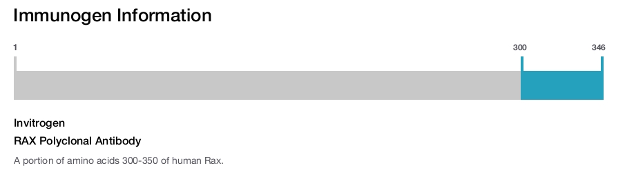 RAX Polyclonal Antibody