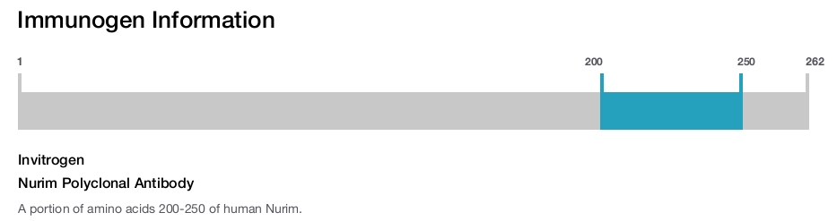 Nurim Polyclonal Antibody