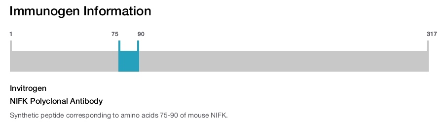 NIFK Polyclonal Antibody