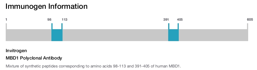 MBD1 Polyclonal Antibody