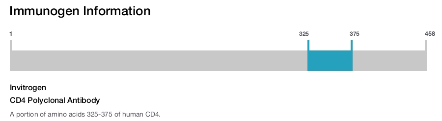 CD4 Polyclonal Antibody