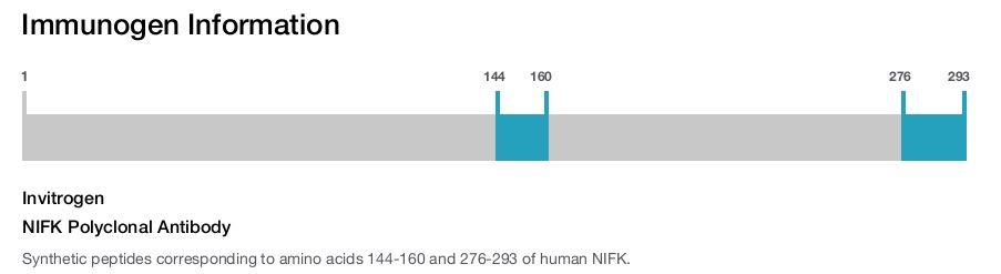 NIFK Polyclonal Antibody