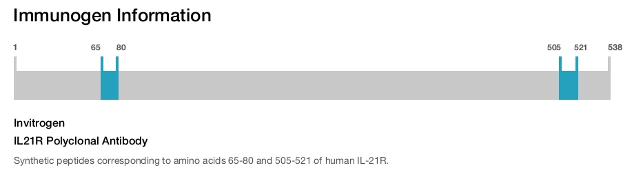 IL21R Polyclonal Antibody