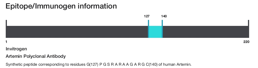Artemin Polyclonal Antibody