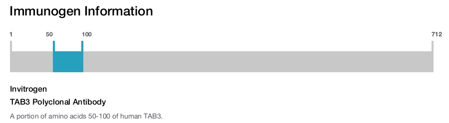 TAB3 Polyclonal Antibody