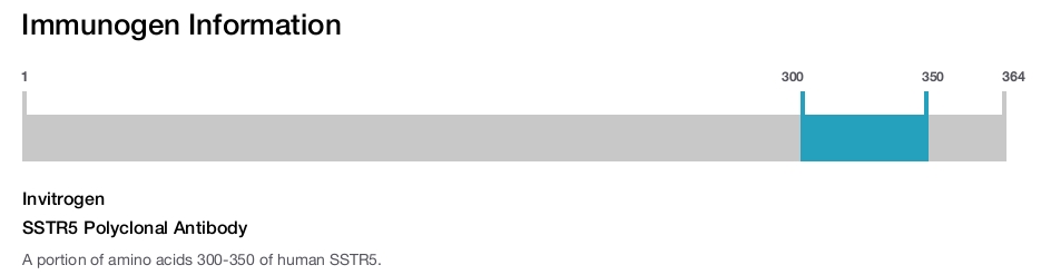 SSTR5 Polyclonal Antibody