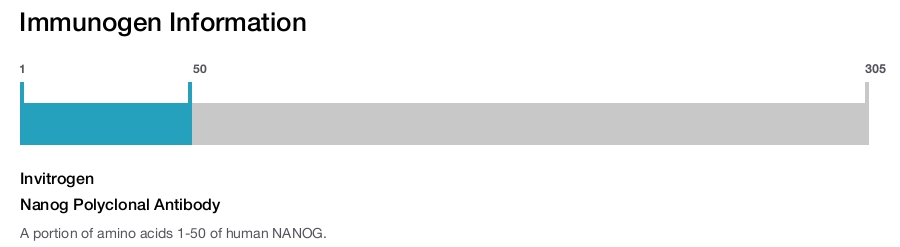 Nanog Polyclonal Antibody