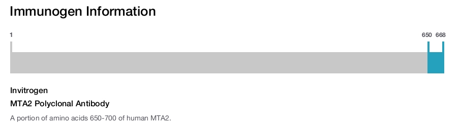 MTA2 Polyclonal Antibody