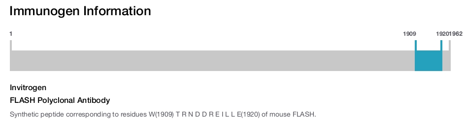 FLASH Polyclonal Antibody