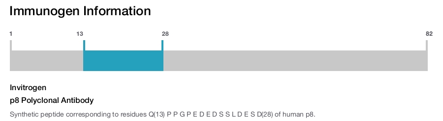 p8 Polyclonal Antibody