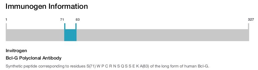 Bcl-G Polyclonal Antibody