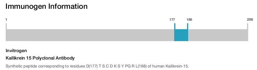 Kallikrein 15 Polyclonal Antibody