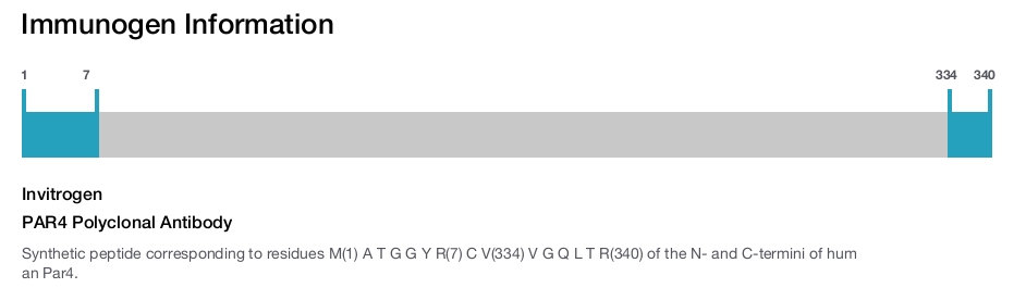 PAR4 Polyclonal Antibody