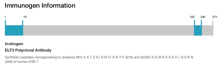 ELF3 Polyclonal Antibody