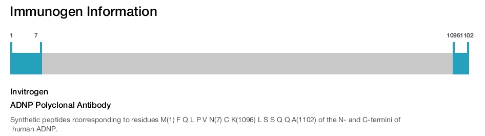 ADNP Polyclonal Antibody