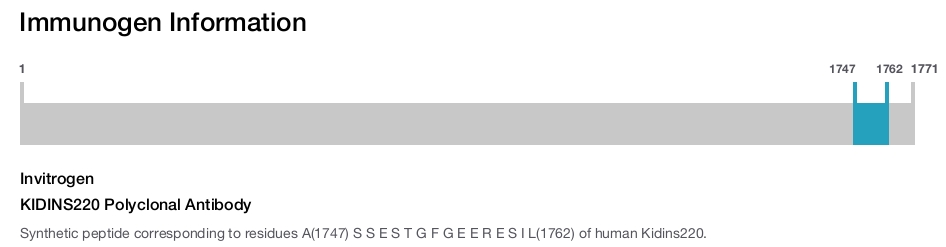 KIDINS220 Polyclonal Antibody