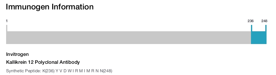 Kallikrein 12 Polyclonal Antibody