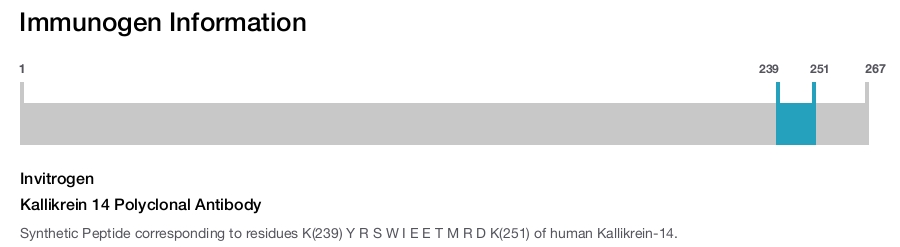 Kallikrein 14 Polyclonal Antibody