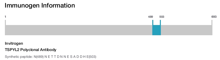 TSPYL2 Polyclonal Antibody