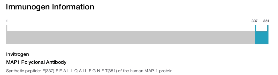 MAP1 Polyclonal Antibody
