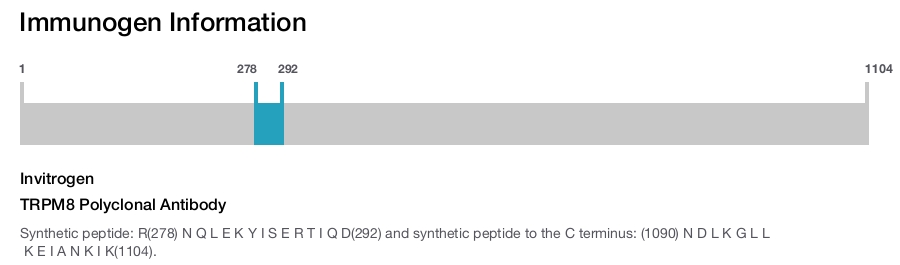 TRPM8 Polyclonal Antibody
