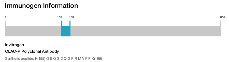 CLAC-P Polyclonal Antibody