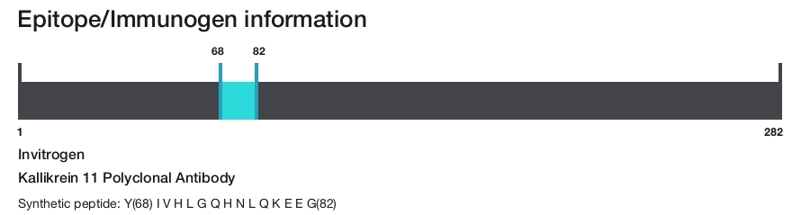 Kallikrein 11 Polyclonal Antibody
