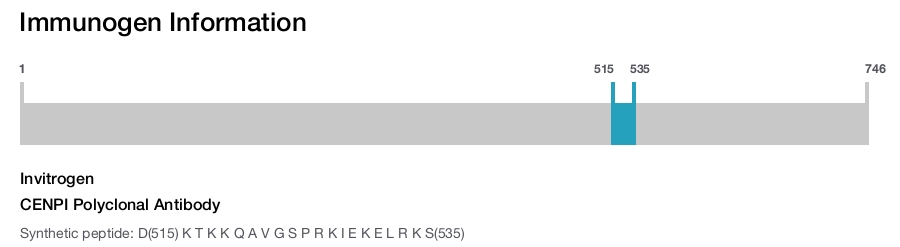 CENPI Polyclonal Antibody