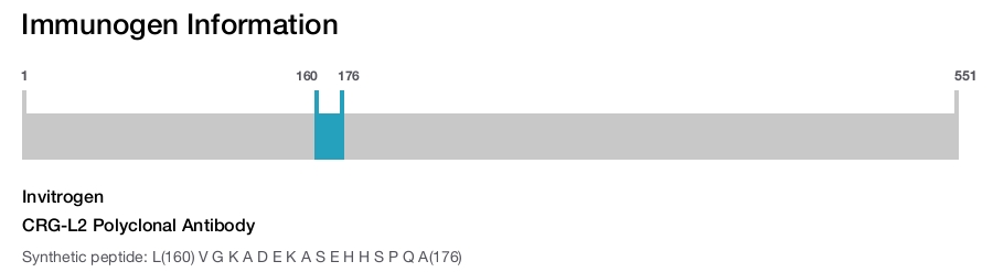 CRG-L2 Polyclonal Antibody